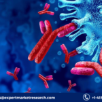 Immunoglobulin Market