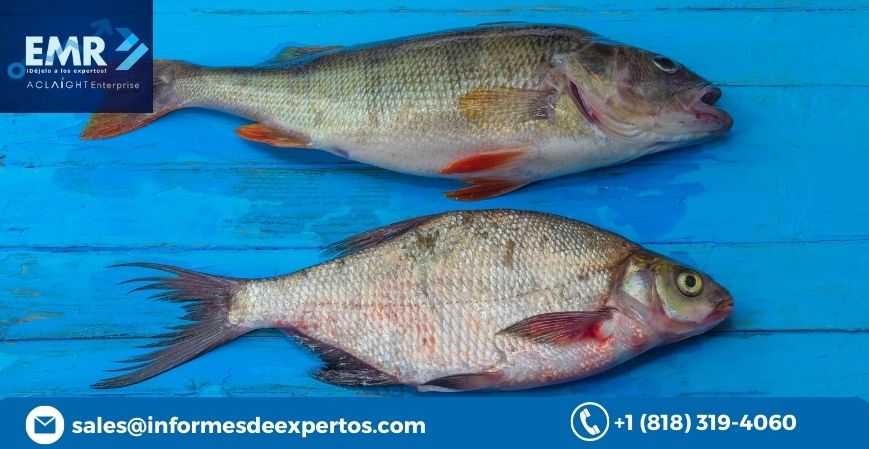 Latin America Fish Market