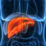 best liver cancer treatment in india