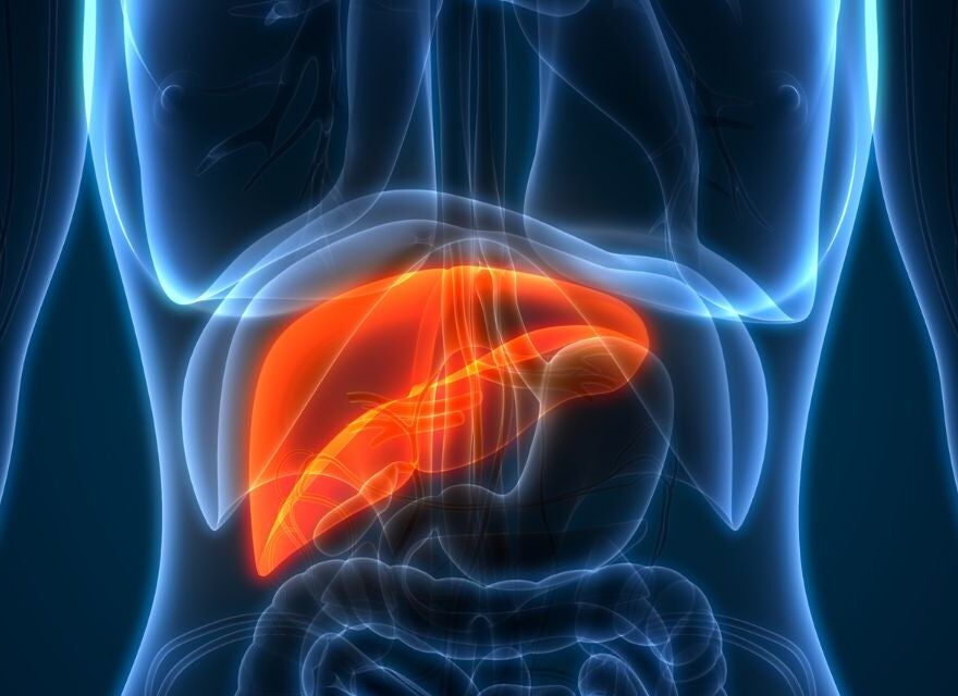 best liver cancer treatment in india