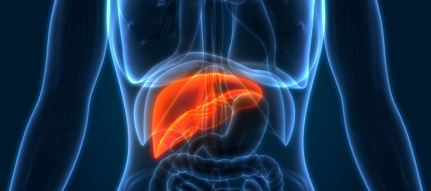 best liver cancer treatment in india