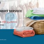 Online Laundry Service Market