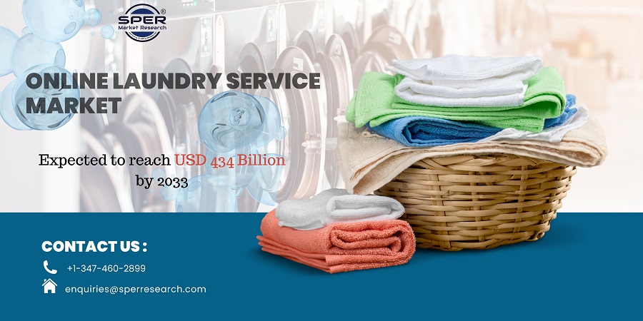 Online Laundry Service Market