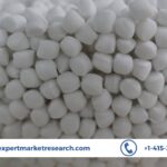 Plastic Fillers Market Share