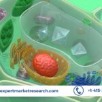 Primary Cells Market Trends