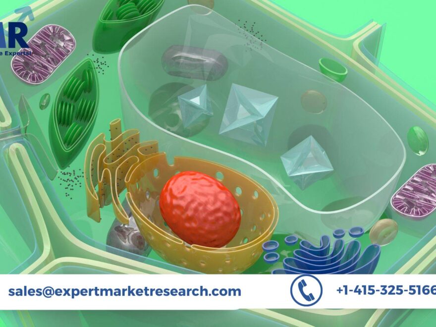 Primary Cells Market Trends