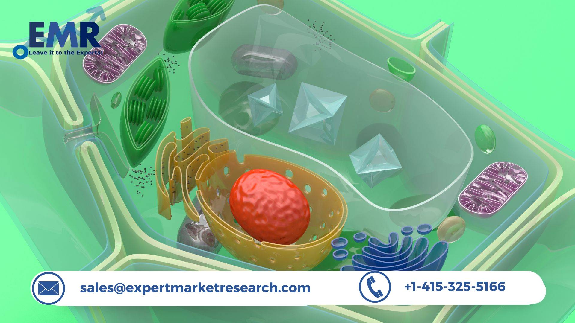 Primary Cells Market Trends