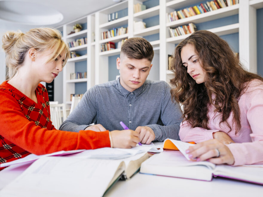 School Study Group