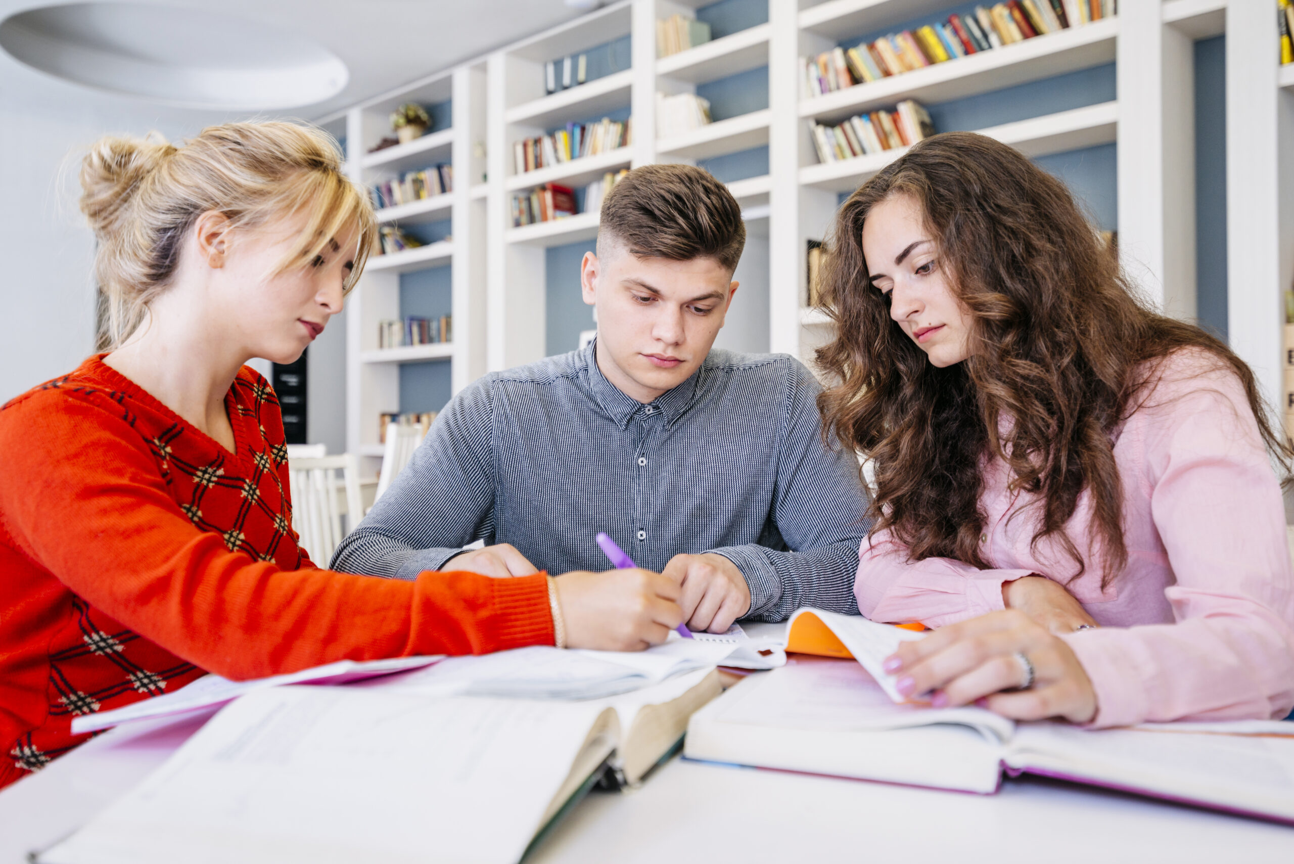 School Study Group