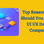 Top Reasons Why Should You Choose a UI UX Design Company?