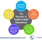 Trade Credit Insurance Market share