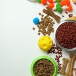 Ingredients Matter: Nurturing Your Pet’s Well-Being Through Quality Nutrition