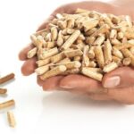 Wood Pellet Market Size, Price Forecast & Industry Demand 2023-2028