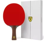 Best Ping Pong Paddles