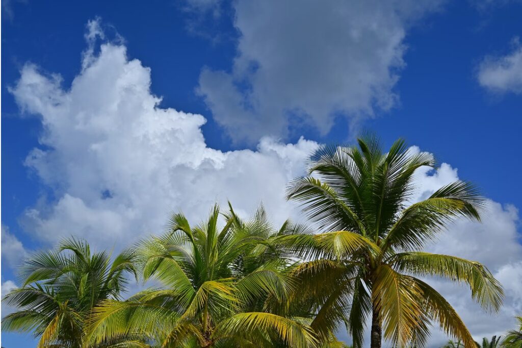 Cozumel Diving for Beginners: Starting Your Underwater Adventure