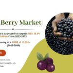 Acai Berry Market Trends