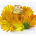 Arnica Oil Processing Plant Project Report Details, Requirements, Cost and Economics