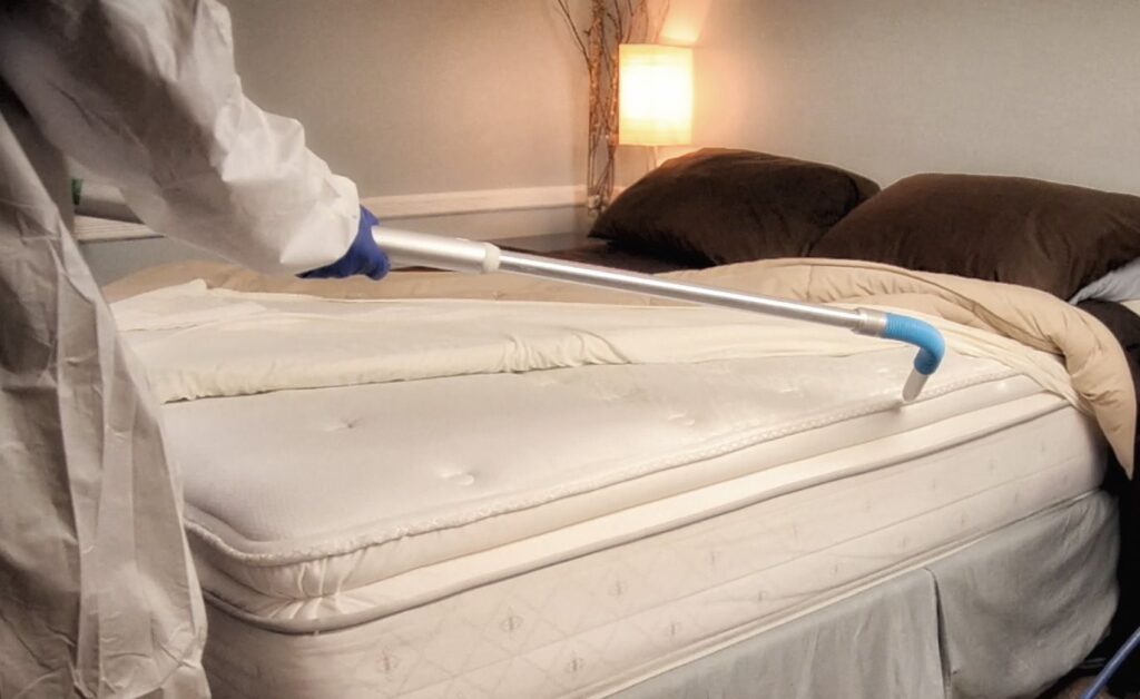 Bed Bugs Pest Control In Dubai