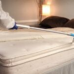 Bed Bugs Pest Control In Dubai