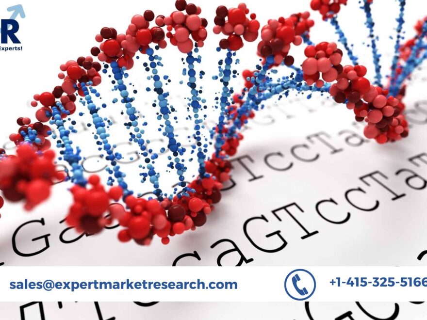 DNA Microarray Market Size