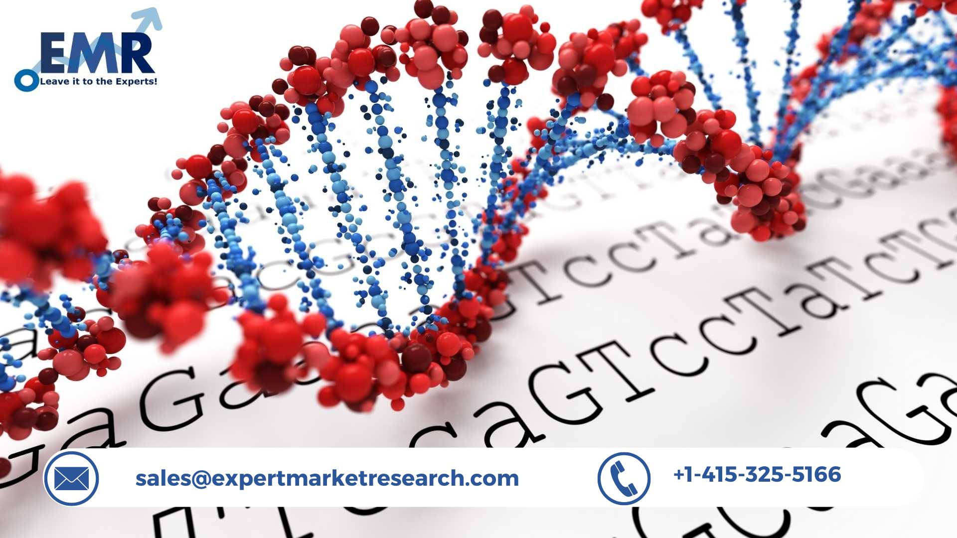 DNA Microarray Market Size