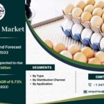 Egg Tray Market