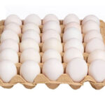 Egg Tray Acid Manufacturing Plant Report 2023, Raw Materials Requirements, Manufacturing Process and Project Economics