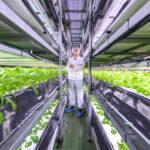 Europe Indoor Farming Market