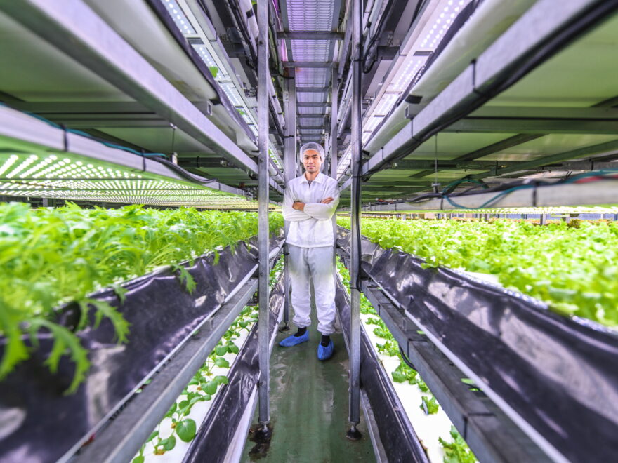 Europe Indoor Farming Market