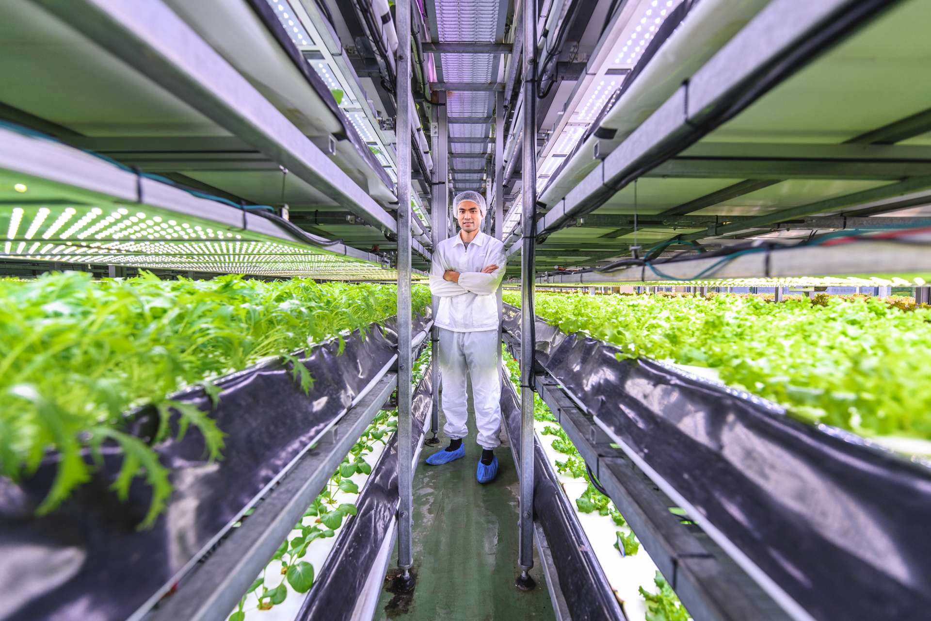 Europe Indoor Farming Market