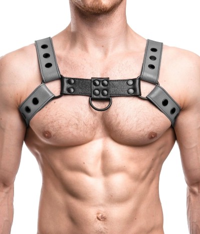 Leather Harness