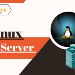 Linux VPS Server