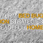 Long-Term Bed Bug Prevention Strategies for a Peaceful Home