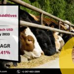 Medicated Feed Additives Market