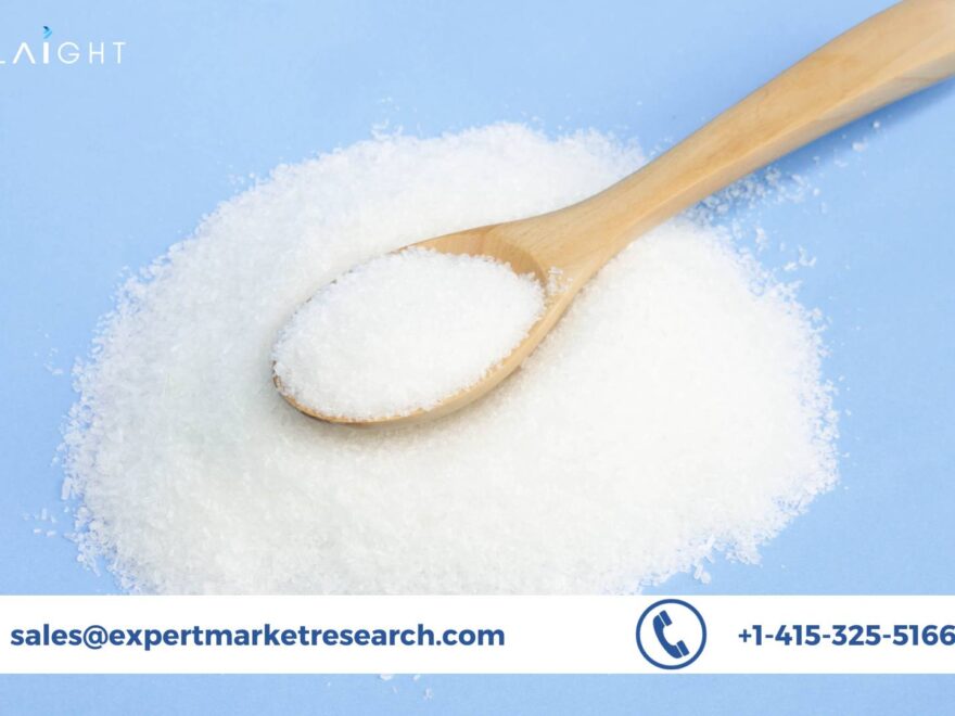 Monosodium Glutamate Market Size