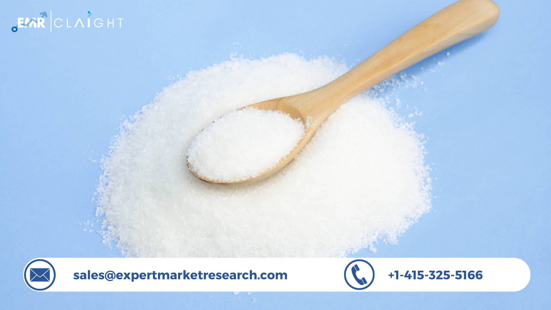 Monosodium Glutamate Market Size