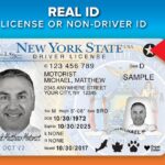 NY DMV License Status