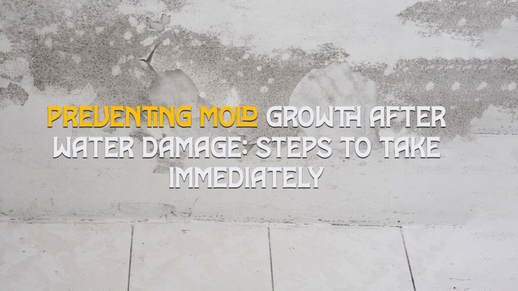 Preventing Mold Growth After Water Damage- Steps to Take Immediately