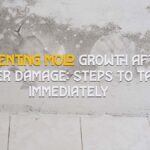 Preventing Mold Growth After Water Damage- Steps to Take Immediately