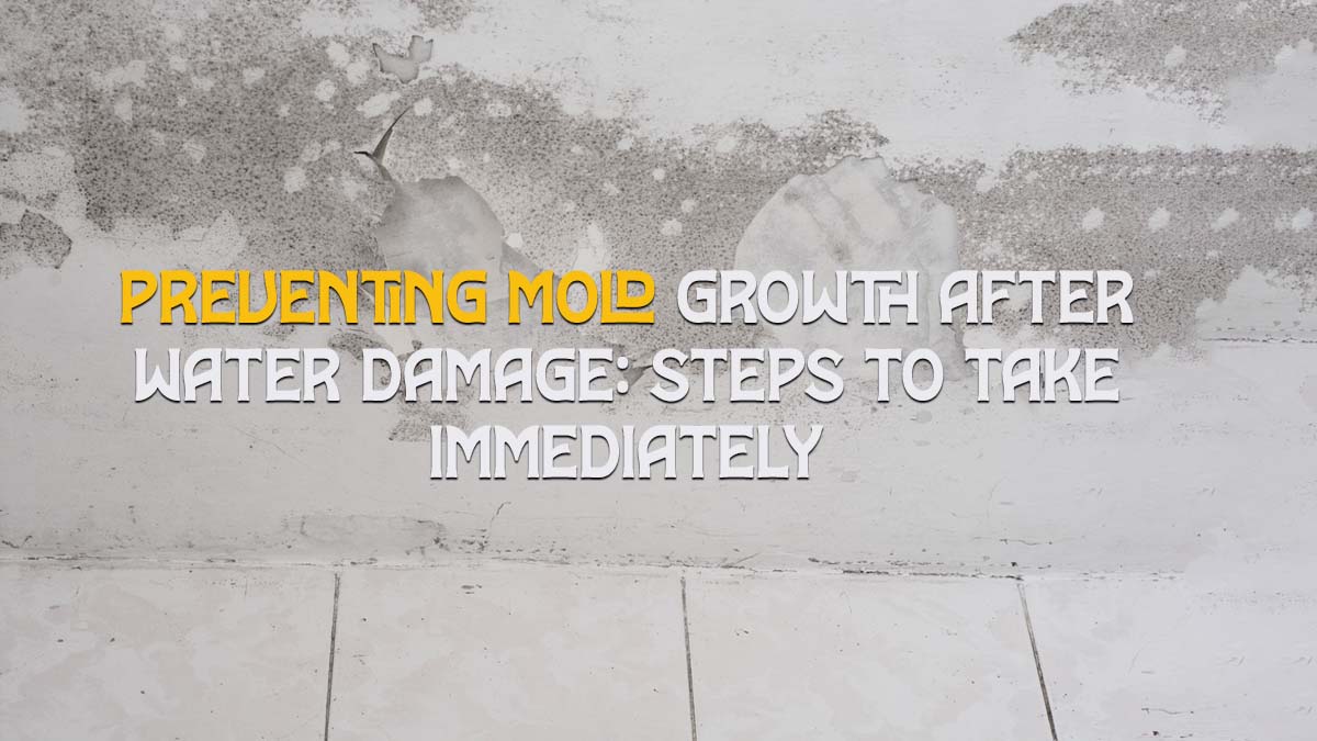 Preventing Mold Growth After Water Damage- Steps to Take Immediately