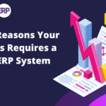 Stellar ERP System