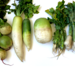 Daikon Processing Project Report