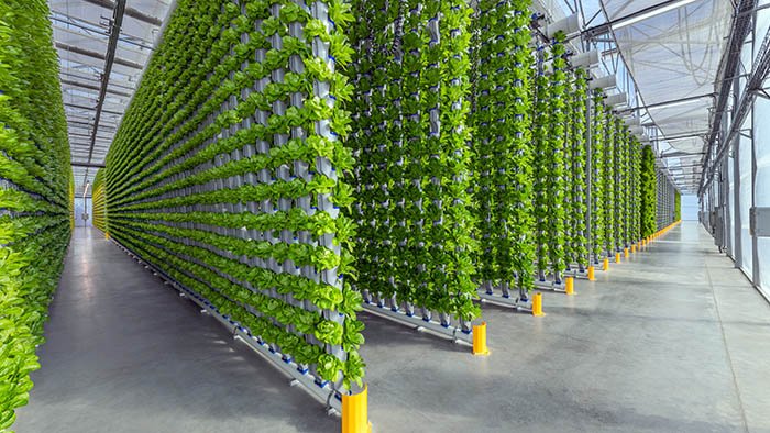 Vertical Farming Market