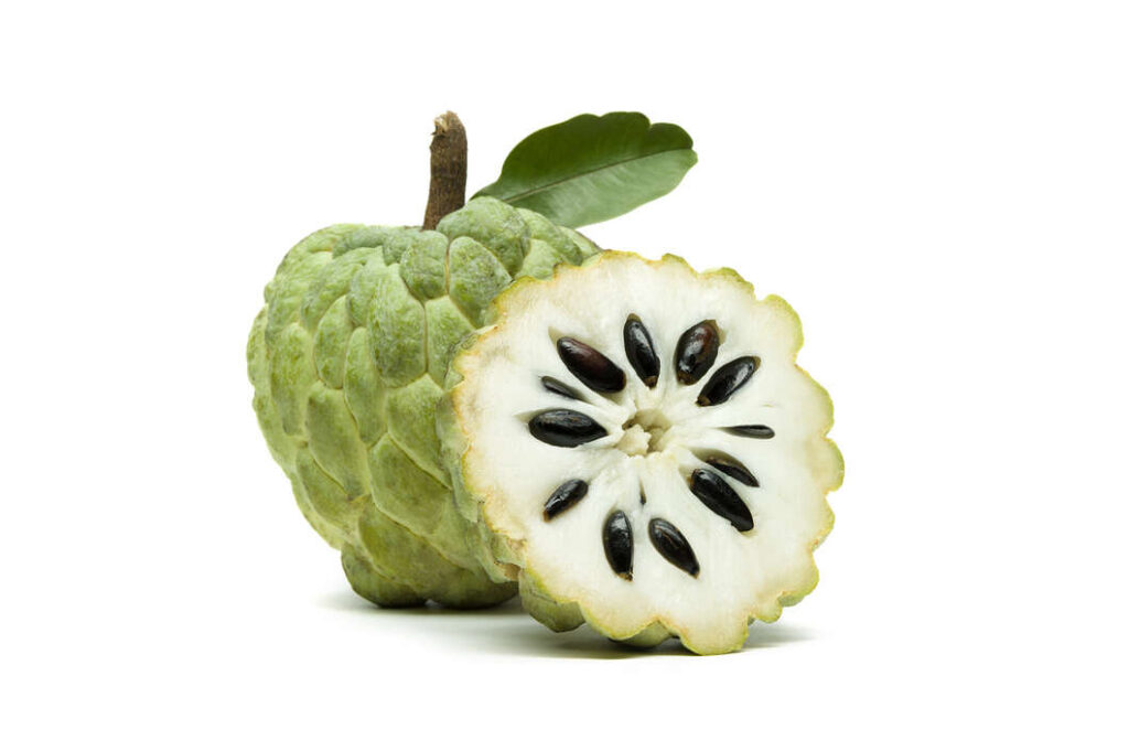 Custard Apples’ Health Benefits 