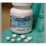 Hydrocodone Prescribing and Quotas