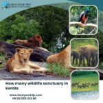 list of wildlife sanctuaries in kerala