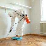 How to Choose the Right Pest Control Company in Brisbane