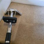 Transform Your Home with Professional Carpet Cleaning Services