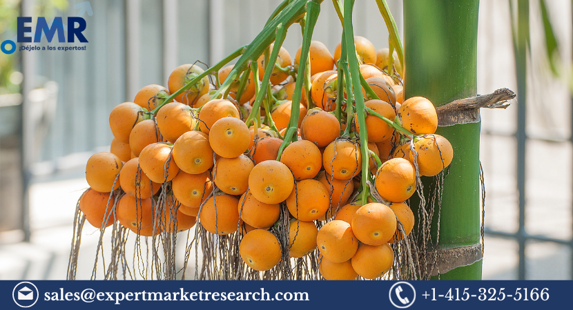 Areca Nut Market