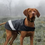 Best Dog Raincoat